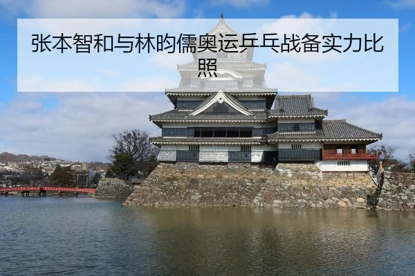 张本智和与林昀儒奥运乒乓战备实力比照